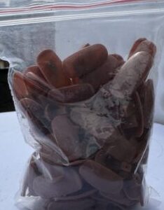 IMG_1656 IMG_1656