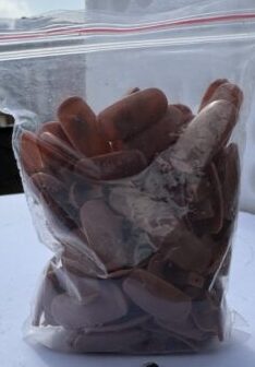 IMG_1656 IMG_1656
